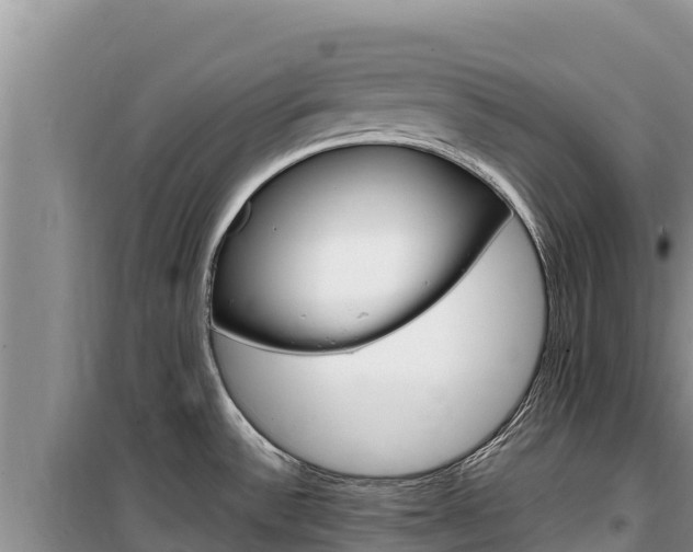 X0000100201532200805300736