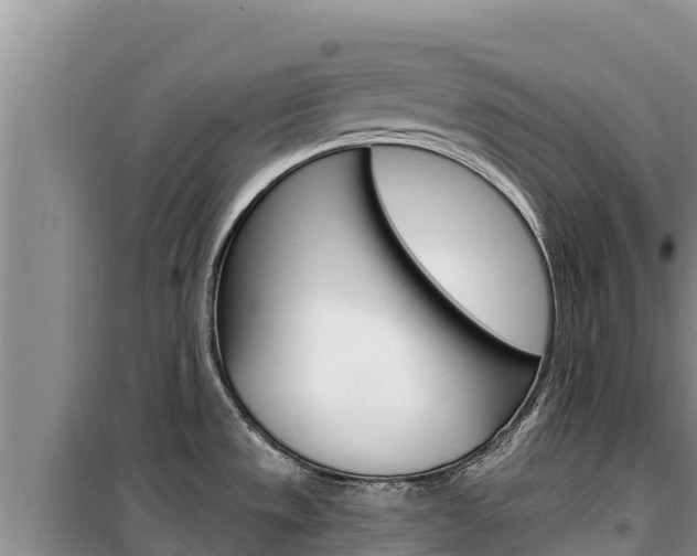 X0000100201533200805300736