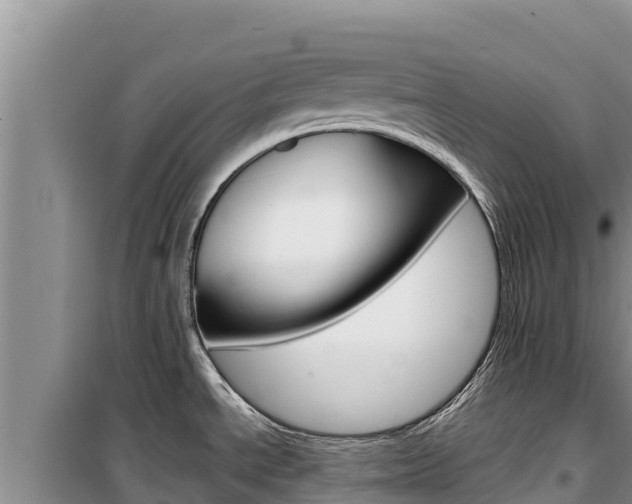 X0000100201534200805300736