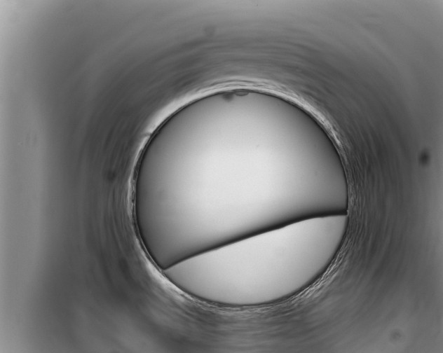 X0000100201535200805300736