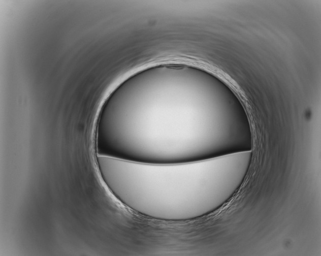 X0000100201536200805300736