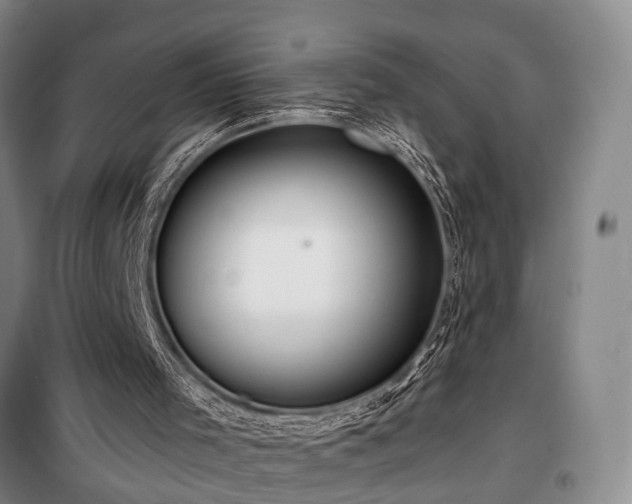 X0000100200001200805301320