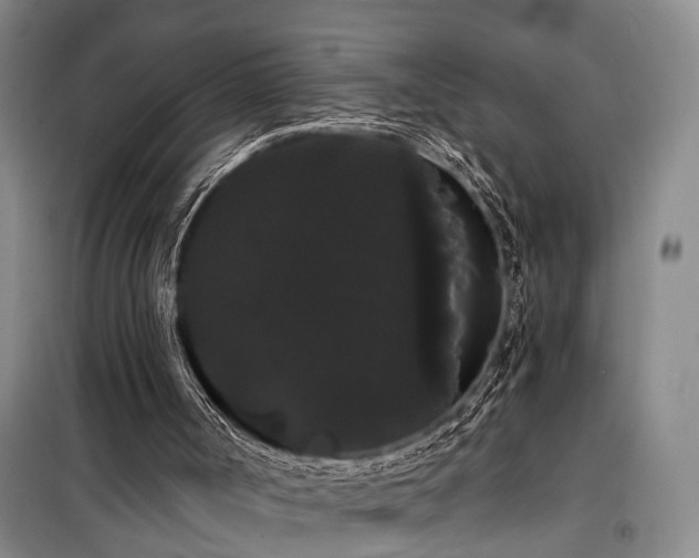 X0000100200002200805301320