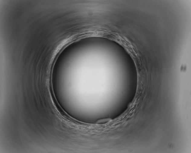 X0000100200003200805301320