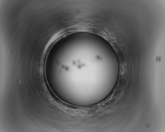 X0000100200004200805301320