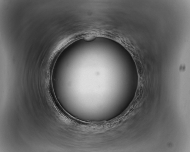 X0000100200005200805301320