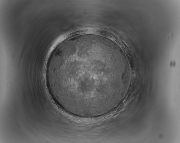 X0000100200006200805301320