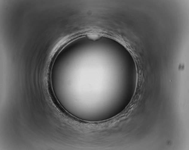 X0000100200007200805301320