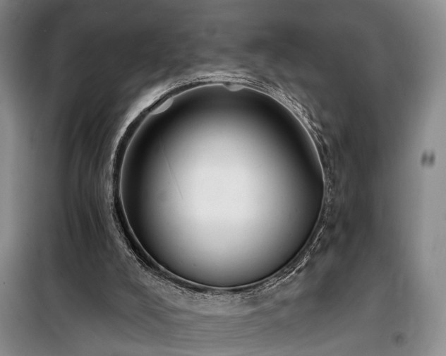 X0000100200008200805301320