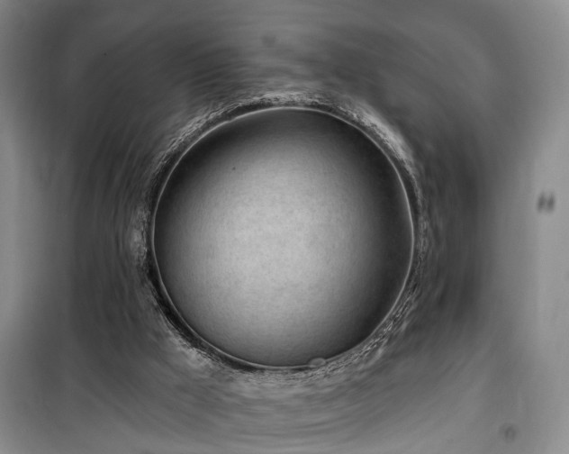 X0000100200009200805301320