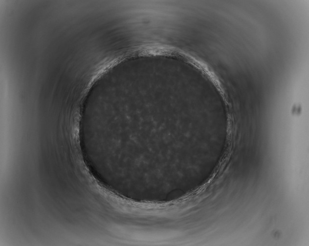 X0000100200010200805301320