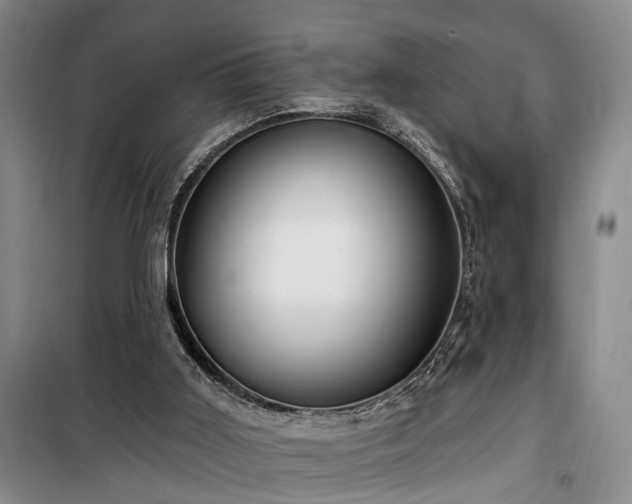 X0000100200011200805301320