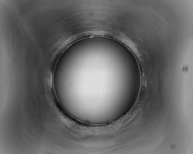 X0000100200013200805301320