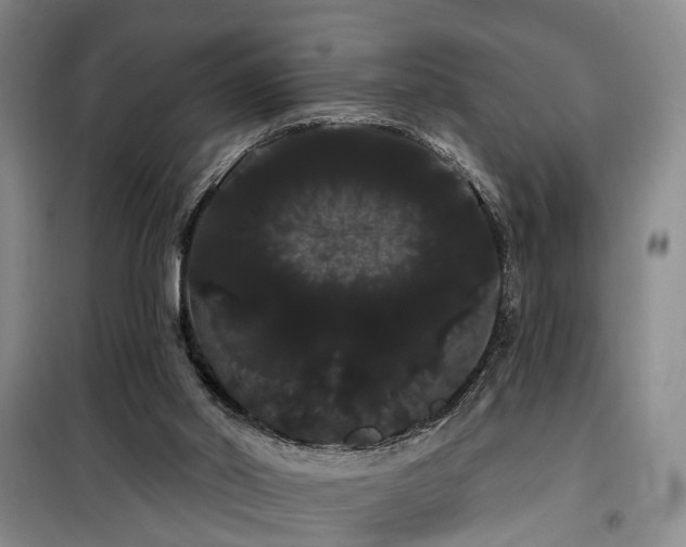 X0000100200014200805301320