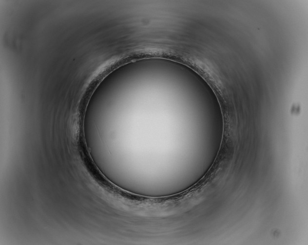 X0000100200016200805301320