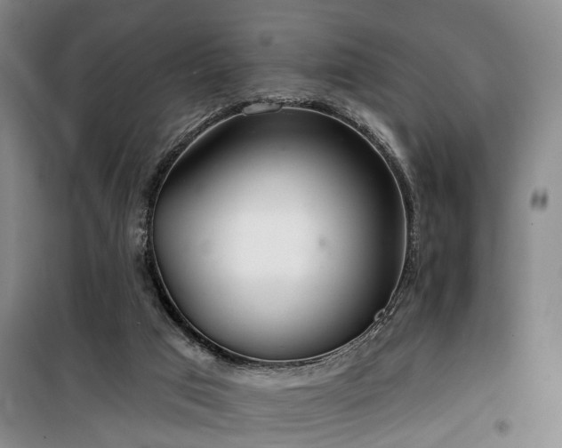 X0000100200017200805301320