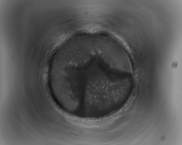 X0000100200018200805301320