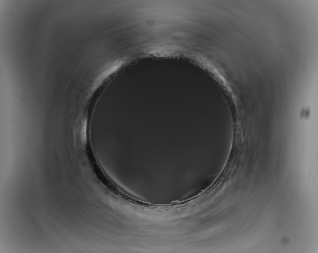 X0000100200019200805301320