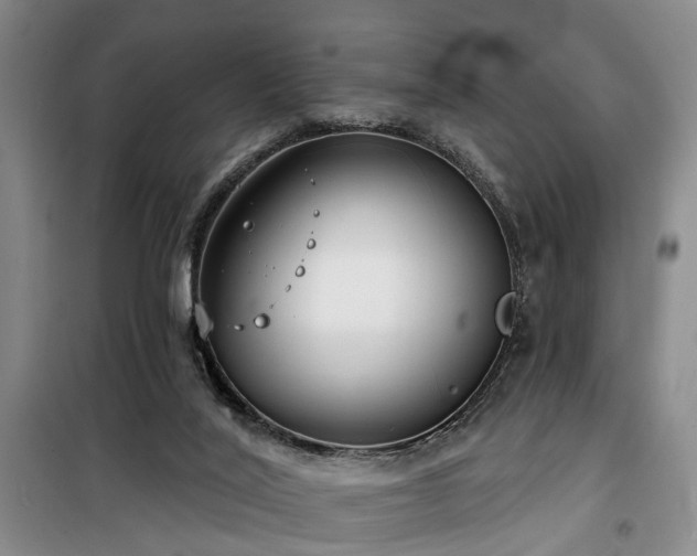 X0000100200020200805301320