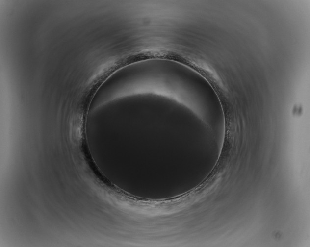 X0000100200023200805301320