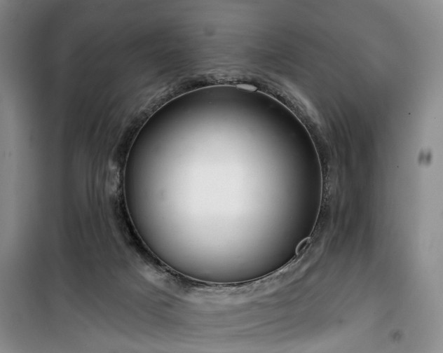 X0000100200025200805301320