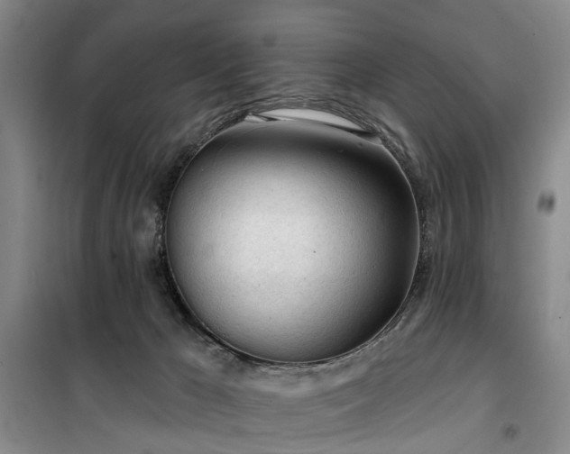 X0000100200029200805301320