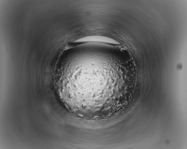 X0000100200030200805301320