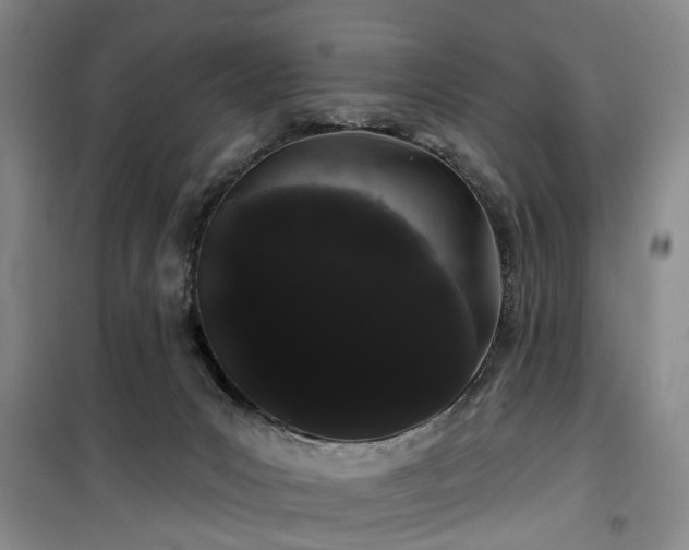 X0000100200031200805301320