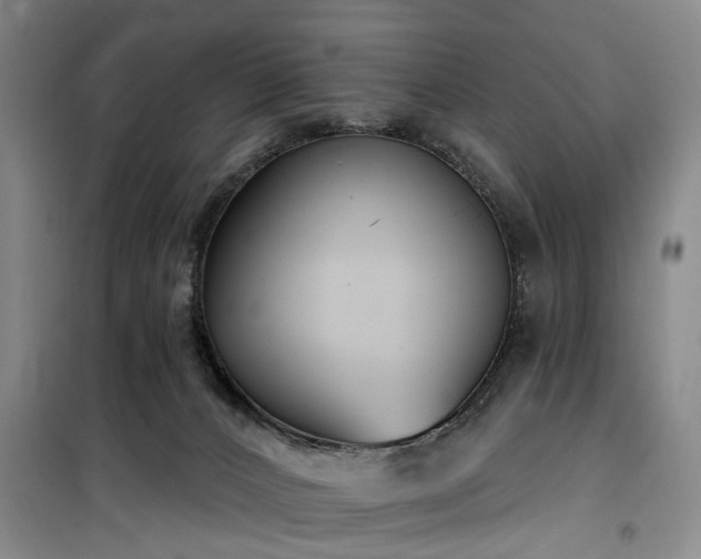 X0000100200032200805301320