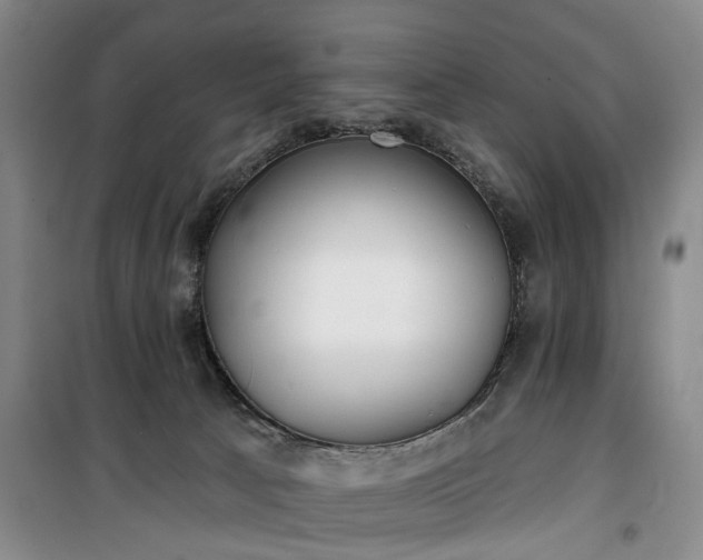 X0000100200033200805301320