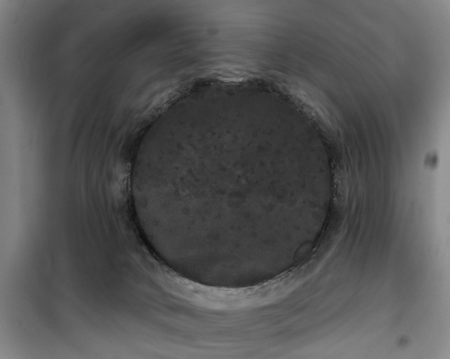 X0000100200034200805301320