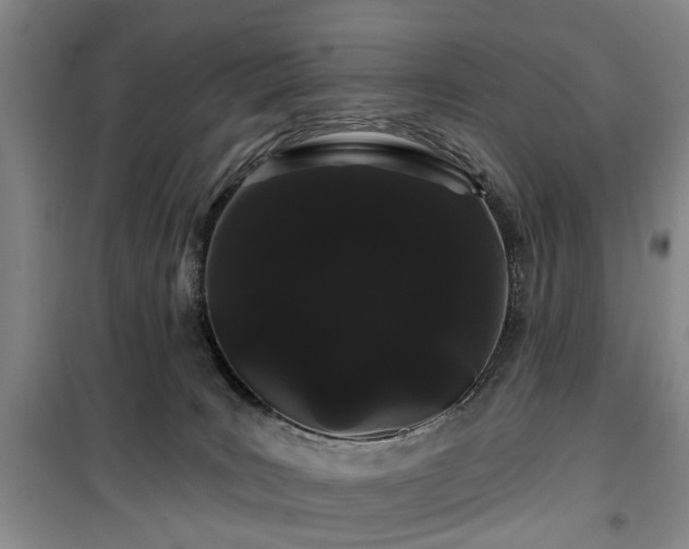 X0000100200035200805301320