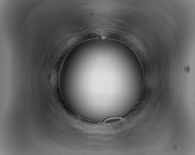 X0000100200036200805301320