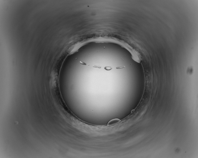 X0000100200038200805301320