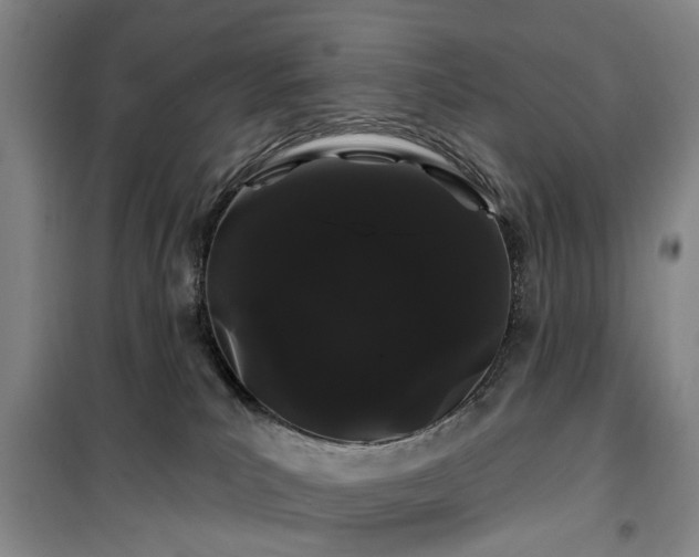 X0000100200039200805301319