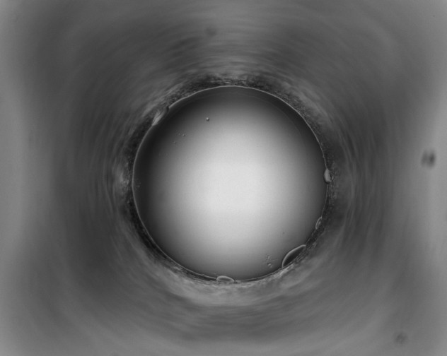 X0000100200040200805301319