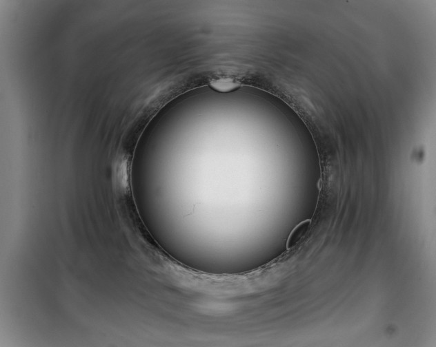 X0000100200042200805301319