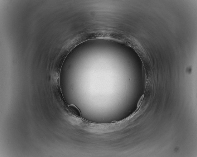 X0000100200045200805301319