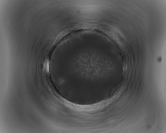 X0000100200046200805301319