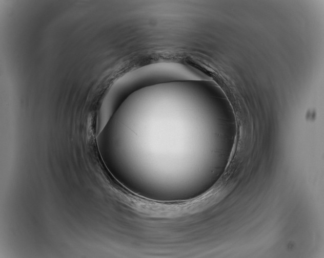 X0000100200048200805301319