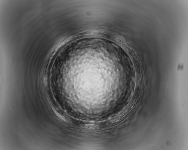 X0000100200050200805301319