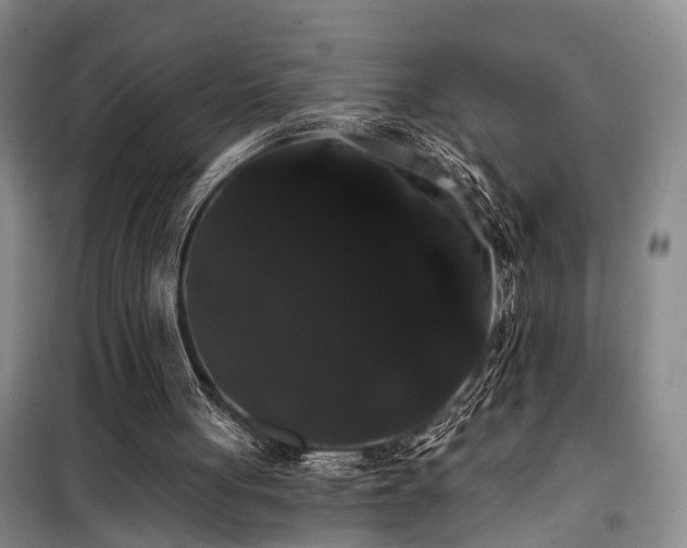 X0000100200051200805301319