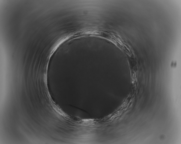 X0000100200052200805301319