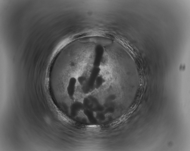 X0000100200053200805301319