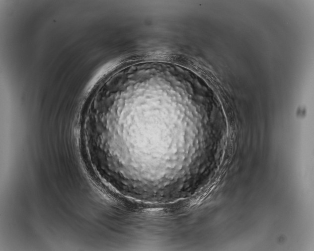 X0000100200054200805301319