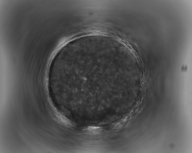 X0000100200055200805301319