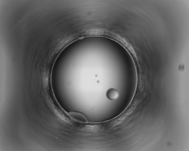 X0000100200057200805301319