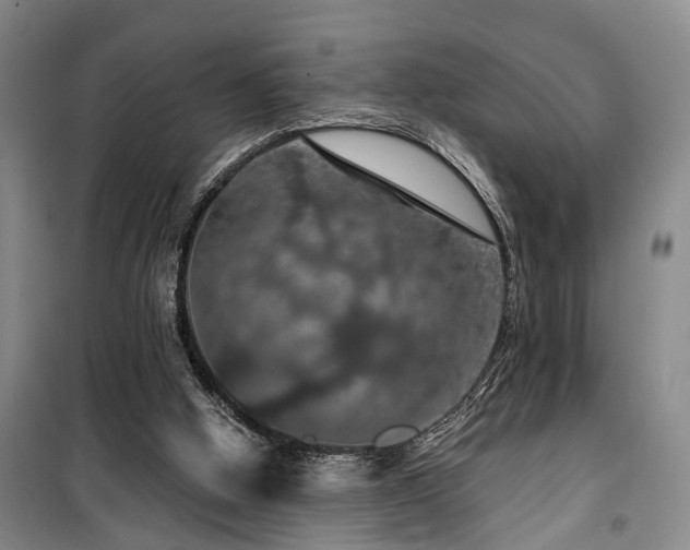 X0000100200058200805301319