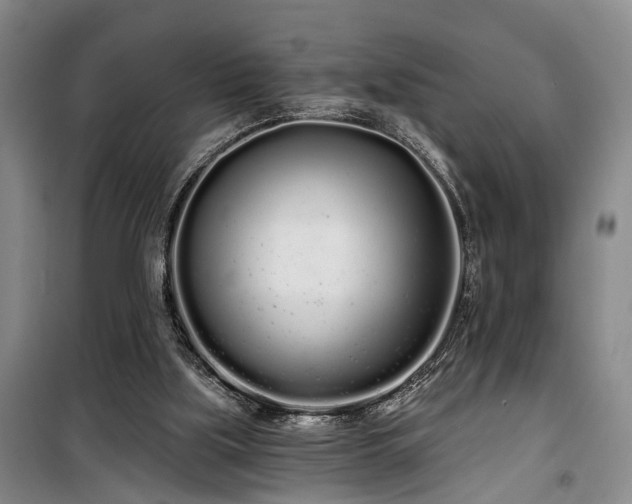 X0000100200059200805301319