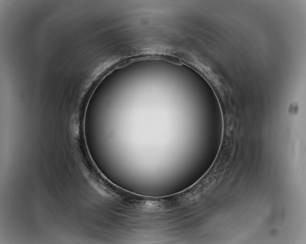 X0000100200060200805301319